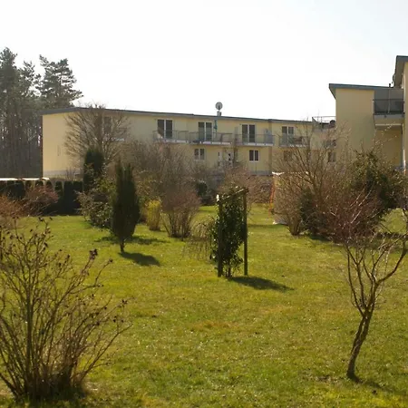 Katerschnute Graal-mueritz Kuestenwald Gelbensande